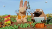 Hase Bio und Nö-Nö im Beet
