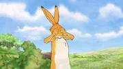 Kleiner brauner Hase spielt Verstecken.