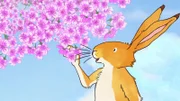 Kleiner brauner Hase betrachtet den schönen Blütenbaum.