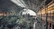 der tropische Garten am Bahnhof Atocha in Madrid.
