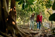 Imogen (Elizabeth Cullen links) und Kyra (Kimie Tsukakoshi rechts) haben den magischen Baum gefunden, sind aber von ihm gefangen worden, ehe sie ihn mit Zauberkraft beruhigen konnten. Nun müssen sie auf Hilfe warten.
