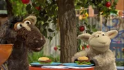 Pferd und Wolle freuen sich auf ihre leckeren Möhren-Burger.