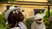 Pferd und Wolle sind auf dem Weg zum David Haselhuf-Konzert.