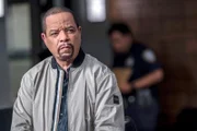 Sergeant Odafin "Fin" Tutuola (Ice T)