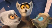 Getarnt als Bananentyp Mike wagt sich King Julien zum dreckigen Wasserloch, um die Probleme seiner Untertanen am eigenen Leib zu erfahren.