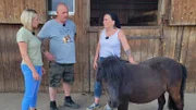 Petra und Dieter betreiben den Gnadenhof "Little Hope Ranch" und brauchen ein neues Auto. Kann Karola Becker (li.) den beiden dabei helfen..?; Petra und Dieter betreiben den Gnadenhof „Little Hope Ranch“ und brauchen ein neues Auto. Kann Karola Becker (li.) den beiden dabei helfen..?