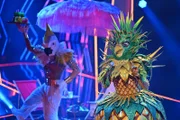 LADY ANANAS
