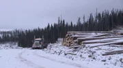 The drive from Porcupine Mountain to the sawmill takes around an hour and a half under optimal conditions.