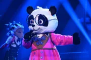 DER PANDA