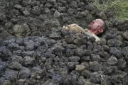 Kann sich Steve McGarretts (Alex O'Loughlin) aus dieser misslichen Lage befreien?