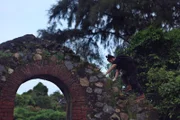 Con Dao, Ba Ria-Vung Tau Province, Vietnam: Host Robert Joe climbs an old structure to gain a better vantage point over the island.
