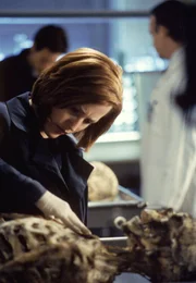 Dana Scully (Gillian Anderson)
