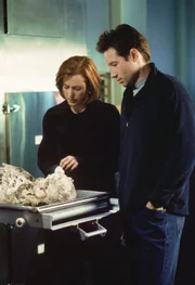 Dana Scully und Fox Mulder.