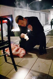 Der Tod einer Stripperin war kein Unfall! Am Tatort findet Detective Mac Taylor verräterische Spuren.