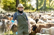 Schäferin Tina Haus wandert mit den Schafen zur nächsten Weide.
