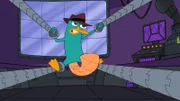 Perry