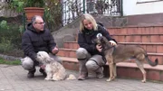 In der Tier-Vermittlungsstation von Pro Animale für Tiere in Not e.V in Spreenhagen kümmern sich Tierretterin Judith Pein und Tierarzt Hasan Tatari um ihre Schützlinge.