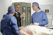 Versuchen herauszufinden, was die Todesursache ist: Jimmy (Brian Dietzen, r.), Ducky (David McCallum, l.) und McGee (Sean Murray, M.) ...