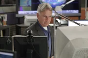 Ein neuer Mordfall wartet auf Gibbs (Mark Harmon) und sein Team ...
