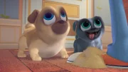 L-R: Rolly und Bingo