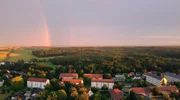 Große Wälder – Lebensraum der Spechte