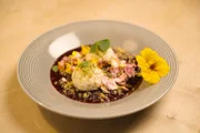 Bei Andrea Meßmer, Jachenau, Oberbayern. Nachspeise: Fichtenspitzen-Topfenknödel mit Butterbröseln, an wildem Beeren-Ragout mit Wacholder-Apfelgelee und Yakherz-Parmesan.