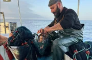 Panayiotis Peratinos hat fast nur noch Rotfeuerfische in seinen Netzen. Die invasive Art bereitet den Fischern auf Zypern Probleme.