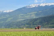 Fruchtbares Land.