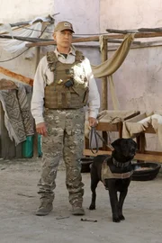 Fliegt nach Afghanistan, um dort einen Mord aufzuklären: Gibbs (Mark Harmon) ...