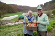 Gerda und Bruno Thomé in der Vulkaneifel bei der Ernte auf den Feldern der Öko-Gemüsebauern.