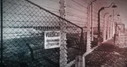 Am 22. Juni greift Hitlers Armee die Sowjetunion an. Im Schatten des Krieges begehen Deutsche Massenmorde an der jüdischen Bevölkerung.
