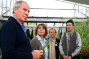 Bernhard (Friedrich von Thun, links) und Claire (Senta Berger) besuchen die Gärtnerei ihrer Mutter, in der nun die arbeitsscheuen Fritzi (Rolf Zacher, rechts) und Senner (Peter Seitz) beschäftigt sind.