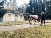 Schloss Reichenau.