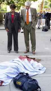 Lt. Anita Van Buren (S. Epatha Merkerson, l.) und Detective Joe Fontana (Dennis Farina)
