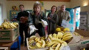Tatsächlich kommt die Meldung, in einem Laden ist eine Spinne zwischen den Bananen gesichtet worden. Helene versucht, das Tier zu fangen, bevor es zubeißen kann. Doch noch während der Aktion kommen Zweifel daran auf, dass Osterberg ein zufälliges Opfer der Bananenspinne geworden ist. Müssen die Ermittler doch von einem gezielten Mordanschlag auf den jungen Mann ausgehen? Nils Theede (Jonas Laux, l.), Dr. Helene Sturbeck (Katharina Blaschke, 2.v.l.), Katrin Börensen (Claudia Schmutzler, 2.v.r.), Jan Reuter (Udo Kroschwald, r.) ermitteln.