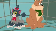 Nachdem Tom und Spike wieder einmal erfolgreich das Haus zerstört haben, werden sie zum Tierarzt geschickt. Hier sollen sie hübsch gemacht werden.