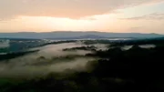 Der Wald ist ein wichtiges Ökosystem für die gesamte Region.