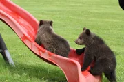 Ein Spielplatz ist nicht nur für Kinder ein Abenteuer.