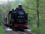 Lösnitzdackel auf freier Strecke.