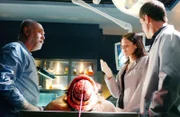 Doc Robbins (Robert David Hall, l.) bespricht mit Sara (Jorja Fox) und Nick (George Eads) die Obduktionsergebnisse von Michael Tinsleys Leichnam und bringt damit Licht ins Dunkel der Ermittlungen...