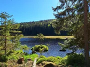 Frühling am Kleinen Arbersee. Er ist ein Juwel in der waldreichen Landschaft des Lamer Winkels und eine Besonderheit im Naturpark Oberer Bayerischer Wald: der Kleine Arbersee. Zu Zwecken der Holztrift wurde der See einst angestaut, dadurch haben sich Moorfilze vom Grund gelöst, schwimmende Inseln entstanden.