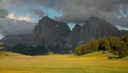 Die Seiser Alm in Südtirol ist die größte Hochalm Europas, im Sommer bedeckt von üppigen Blütenteppichen.