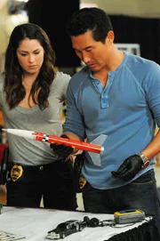 Michelle Borth (Catherine Rollins) und Daniel Dae Kim (Chin Ho Kelly).