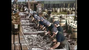 Arbeiterinnen, die Hering ausnehmen, salzen und in Fässer verpacken, 19. Oktober 1933
