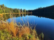 Herbststimmung am Kleinen Arbersee. Der Kleine Arbersee ist ein Juwel inmitten der waldreichen Landschaft des Lamer Winkels. Zu Zwecken der Holztrift wurde er einst angestaut. Wenn der Mensch nicht mehr eingreift, wird er irgendwann wieder verlanden - langsam, aber stetig.