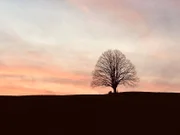 Sonnenuntergang bei Irschenberg.