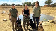Tierschutz in Namibia: Hannah Emde beim Hundetraining gegen Nashornwilderer.