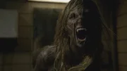 Kate Argent (Jill Wagner)