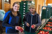 Johannes und Mia Bentele während der Apfelernte in Tettnang.