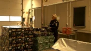 Customs officer checks beer boxes